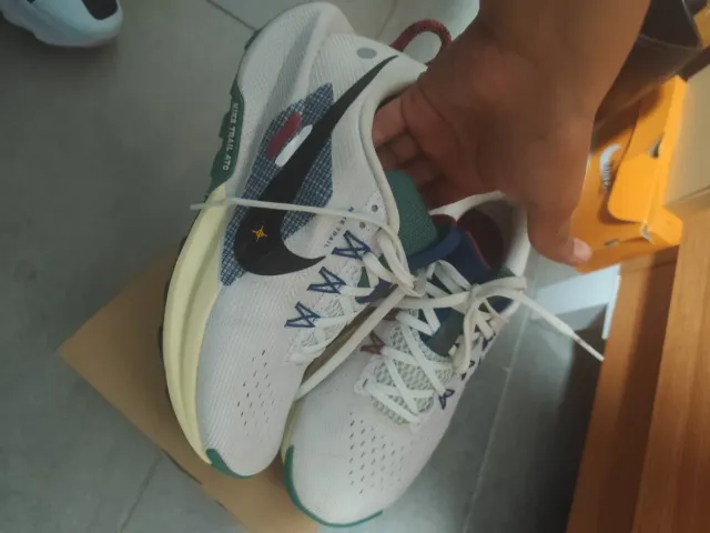 Zapatillas Nike Pegasus Trail