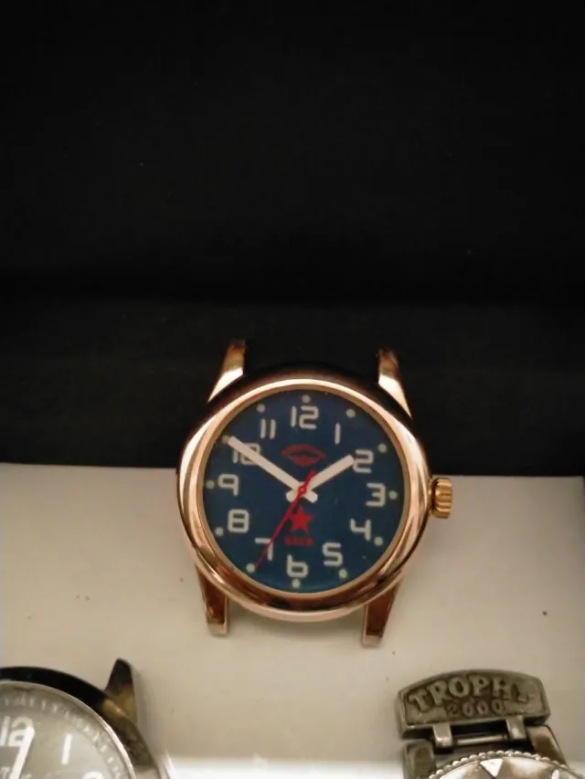 Orologi da Uomo Potes