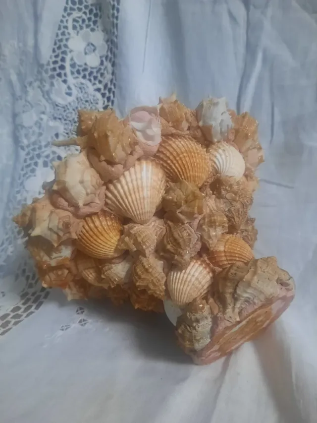 Maceta Decorativa Conchas