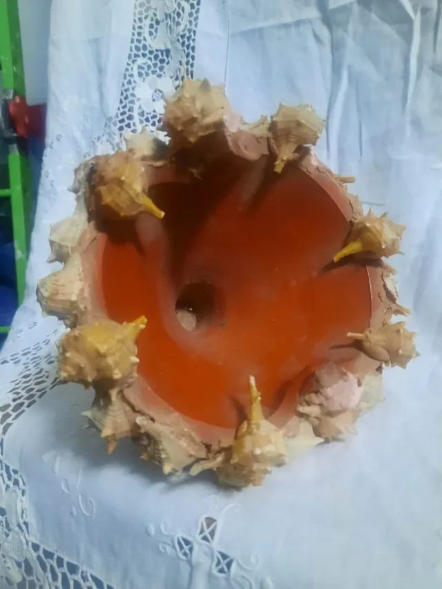 Maceta Decorativa Conchas