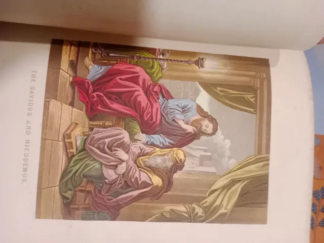 Bibbia del XIX secolo con incisioni dorate