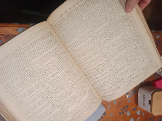 Bibbia del XIX secolo con incisioni dorate