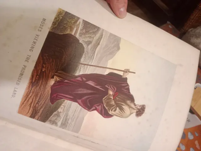 Bibbia del XIX secolo con incisioni dorate