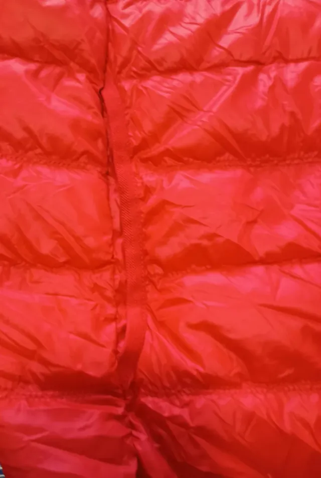 Piumino tecnico Emporio Armani (100 grammi).