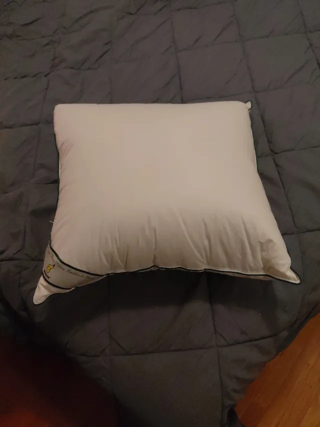 Cojín plumón Duvet MASH