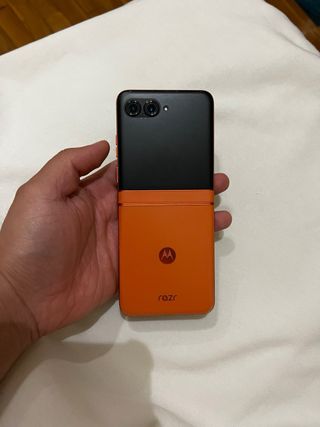 Motorola Razr 50 nuovo di zecca