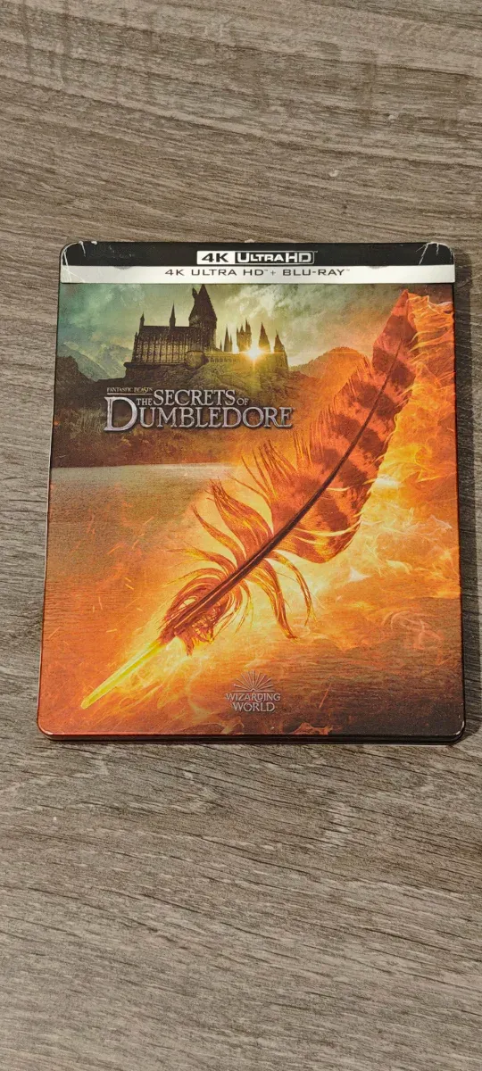 Animali Fantastici: I Segreti di Silente 4