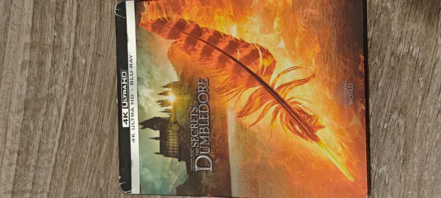 Animali Fantastici: I Segreti di Silente 4