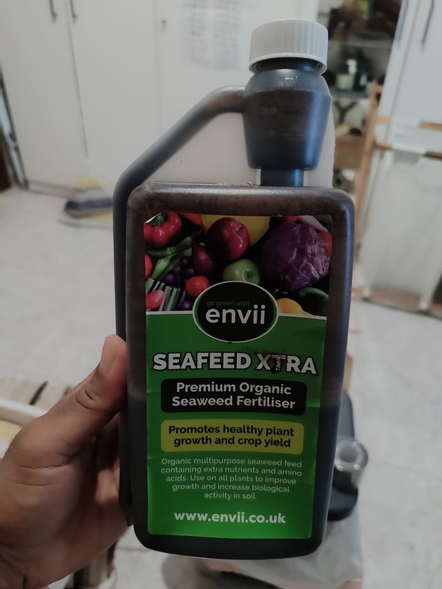 PRODUCTOS ECOLÓGICOS HUERTO