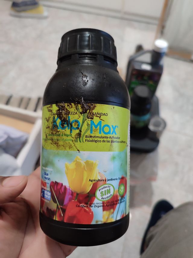 PRODUCTOS ECOLÓGICOS HUERTO