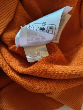 Felpa The North Face arancione con cappuccio