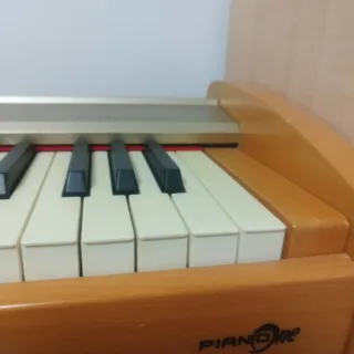 Piano Eléctrico PIANONE D-150