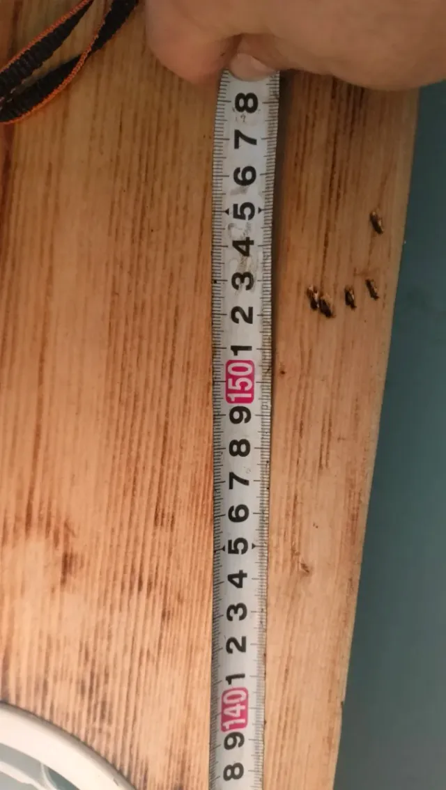 Lámpara rústica 3 focos Tridonic 42w