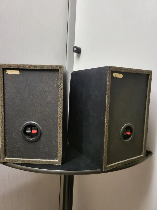 Altavoces Pioneer Negros