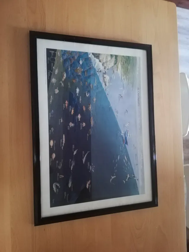 Cuadro El Cantábricu Peces y Aves