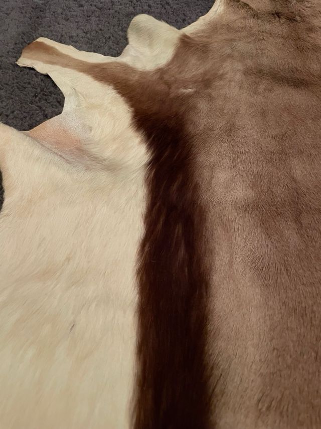 Alfombra de piel de cabra