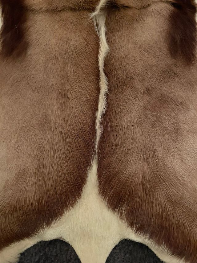 Alfombra de piel de cabra