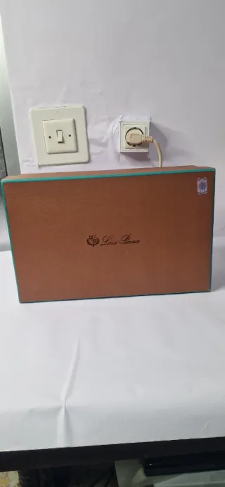 Zapatos Loro Piana Suede Negro