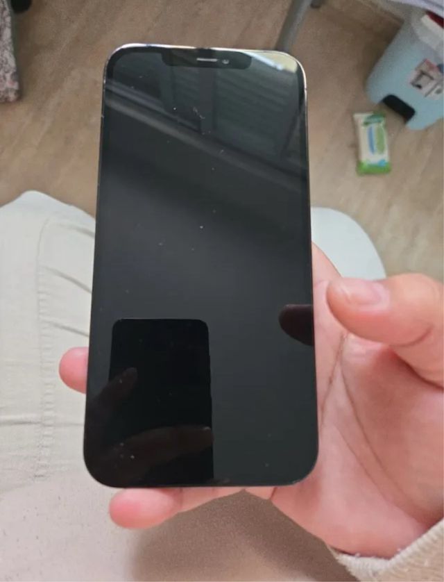 IPHONE 12 PRO MAX 256GB