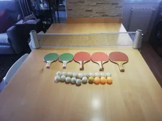 Accesorios de Ping Pong: Palas y Pelotas
