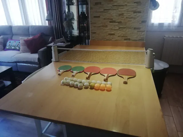Accesorios de Ping Pong: Palas y Pelotas