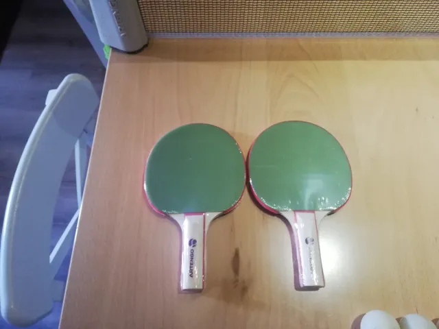 Accesorios de Ping Pong: Palas y Pelotas
