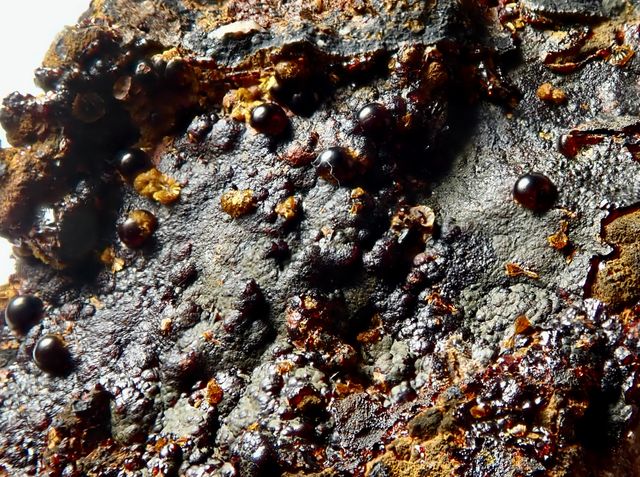 Beraunita y Cacoxeno. Mineral