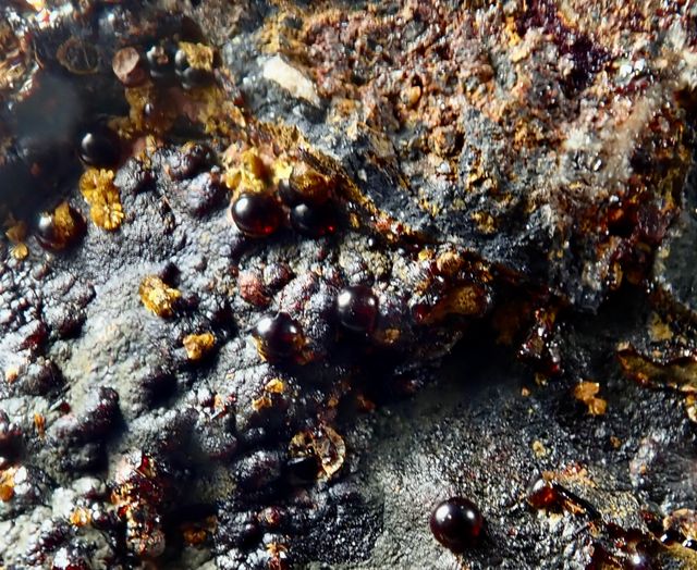 Beraunita y Cacoxeno. Mineral