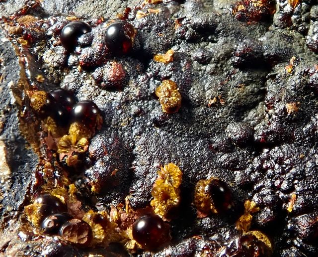 Beraunita y Cacoxeno. Mineral