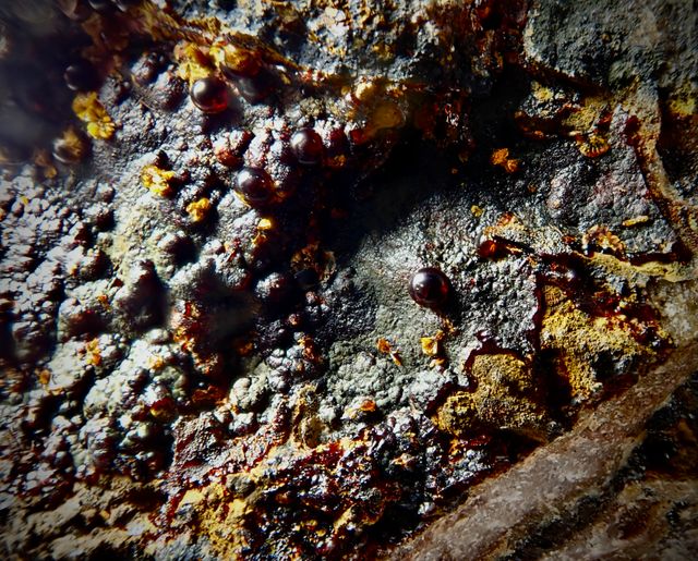 Beraunita y Cacoxeno. Mineral