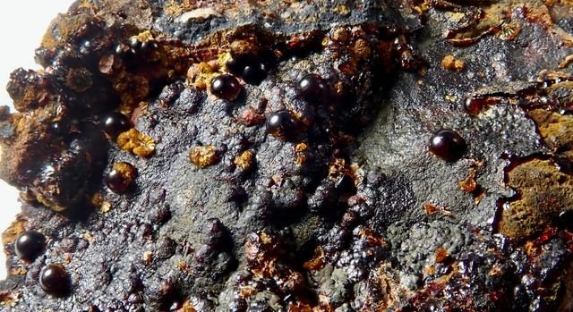 Beraunita y Cacoxeno. Mineral