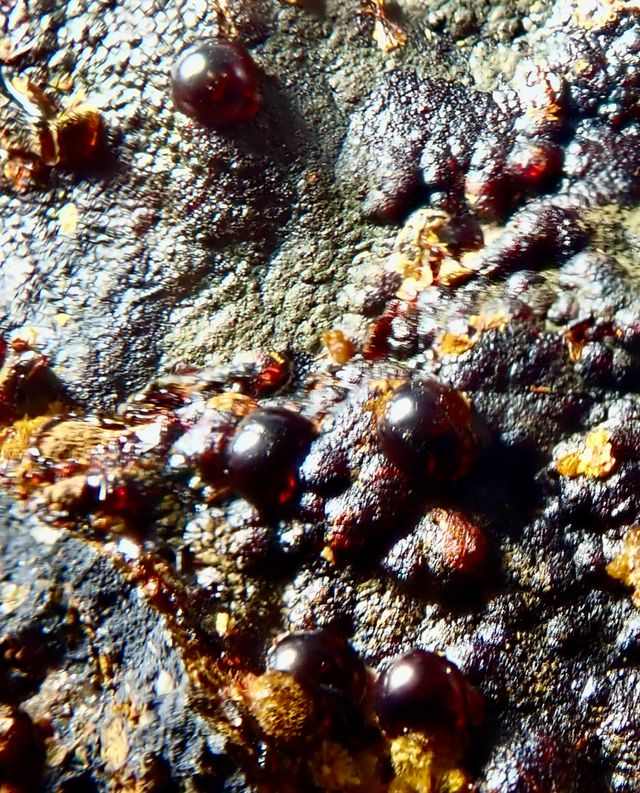 Beraunita y Cacoxeno. Mineral