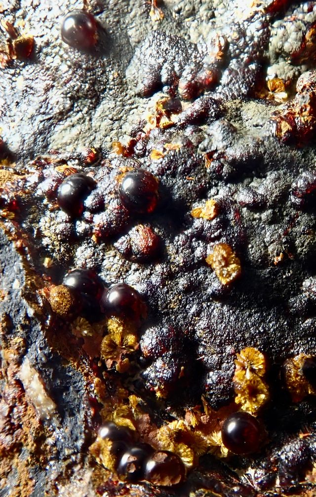 Beraunita y Cacoxeno. Mineral