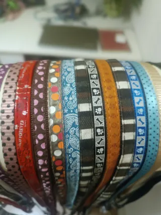 Correa paseo para perro (diferentes modelos)