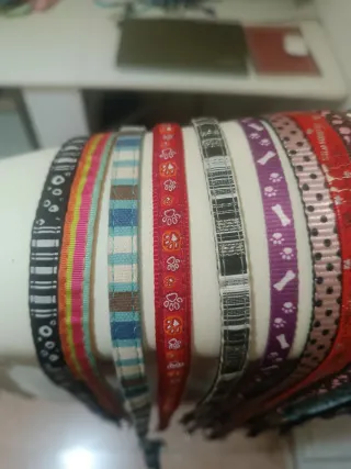 Correa paseo para perro (diferentes modelos)