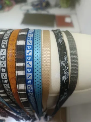 Correa paseo para perro (diferentes modelos)