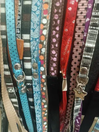 Correa paseo para perro (diferentes modelos)