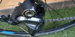 Bicicleta Carretera Focus Cayo Taglia S