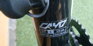 Bicicleta Carretera Focus Cayo Taglia S