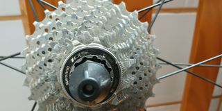 Bicicleta Carretera Focus Cayo Taglia S