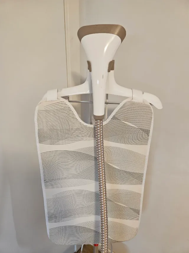 Plancha de vapor vertical