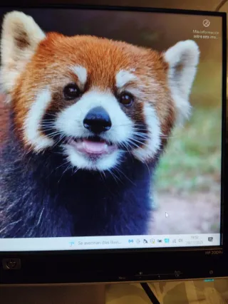 Monitor HP 2009v Negro