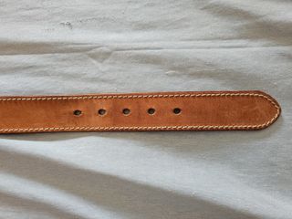 Cintura Invicta Pelle Marrone Fibbia Argento