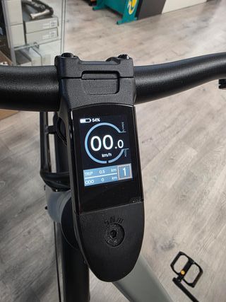 Bicicleta BiwBik Kioto Gris