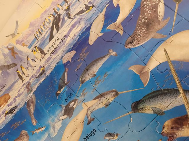 Animales acuáticos (Libro puzle)