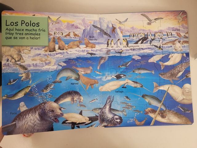 Animales acuáticos (Libro puzle)