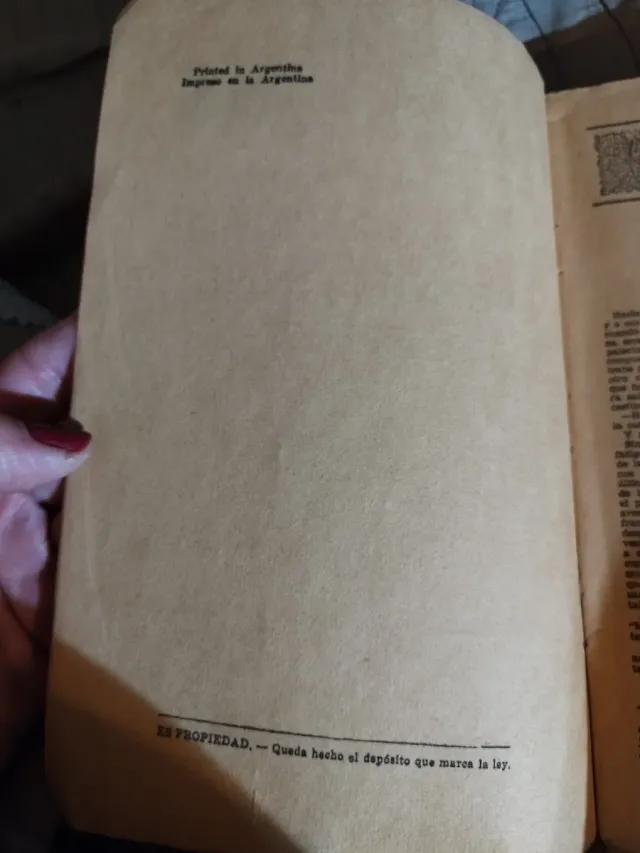 El Vizconde de Bragelonne