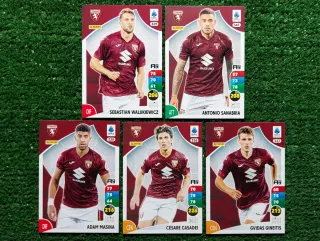 5 Carte Adrenalyn XL Panini Torino 2025/26