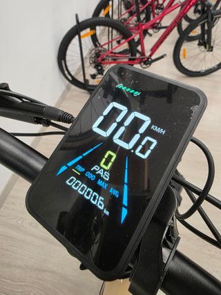 Bicicleta eléctrica BIWBIK Dakar