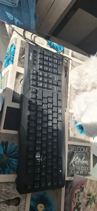 Tastiere Trust Nero per Computer